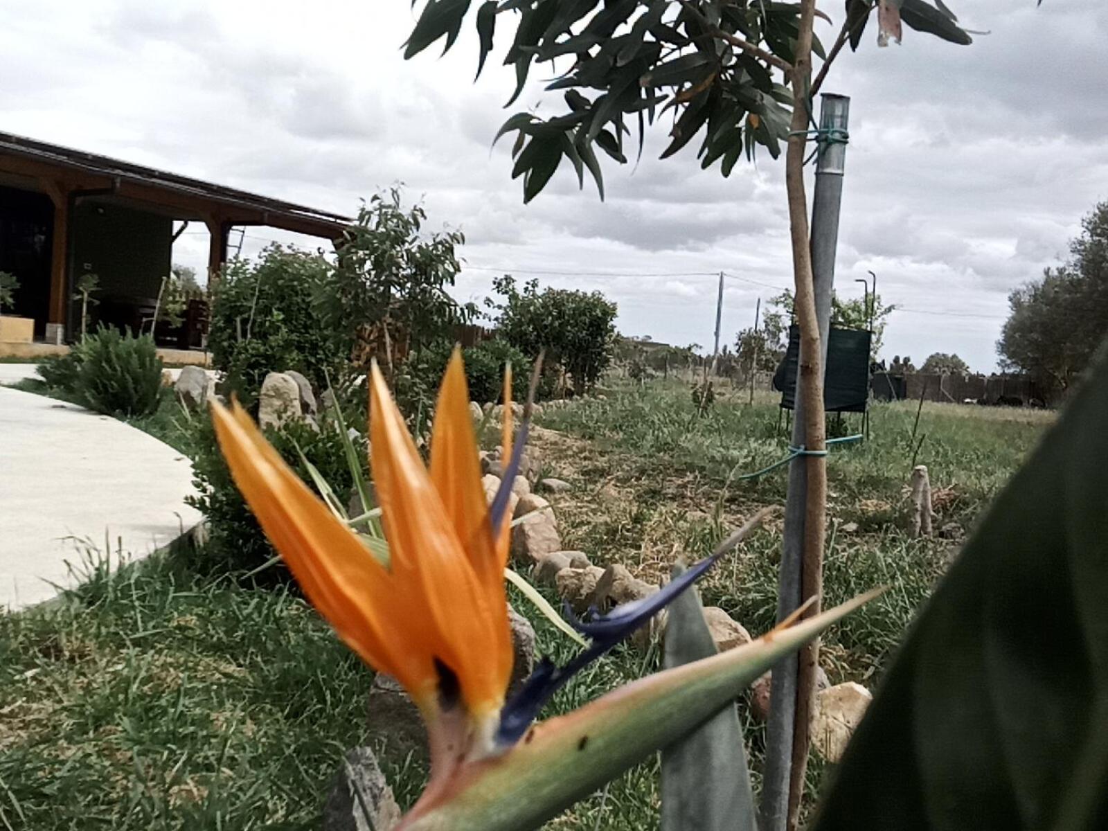 Podere Kiri Dome Experience Decimomannu Exteriér fotografie